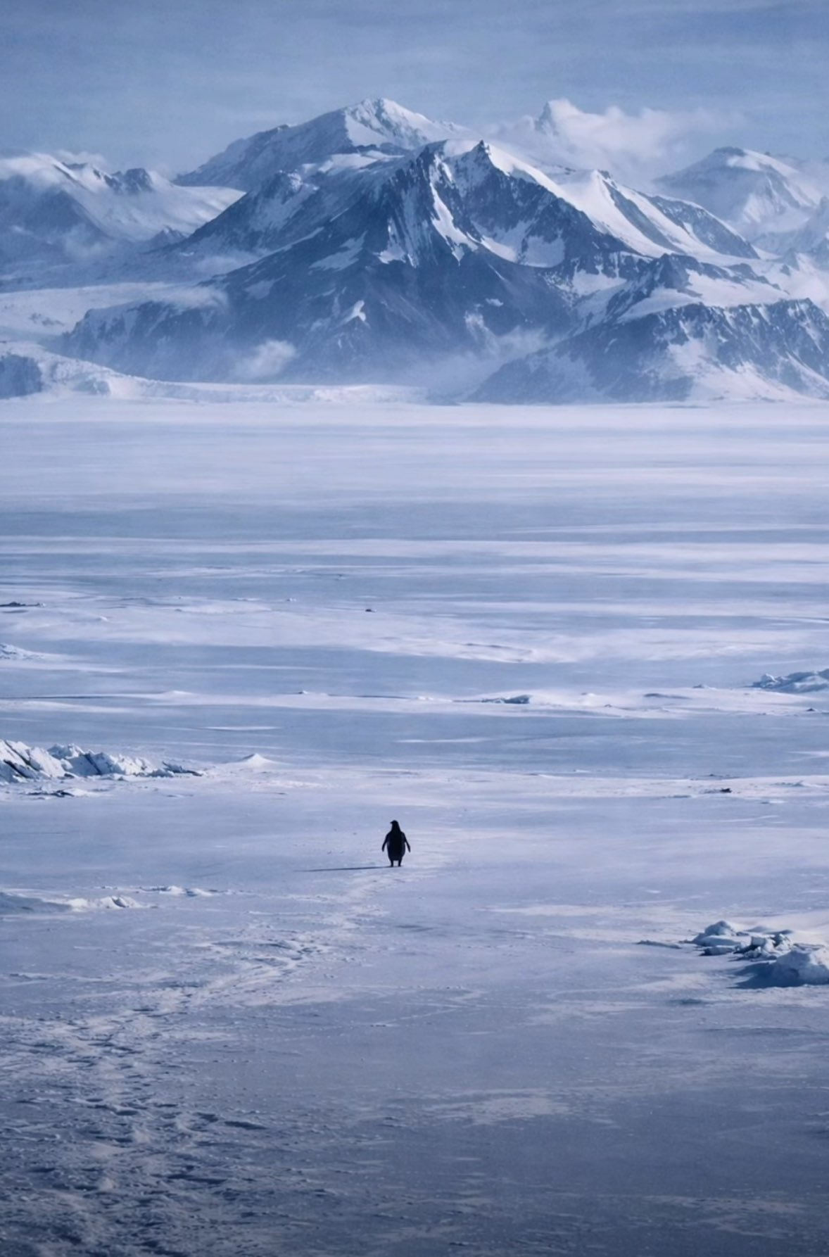 Lone journey